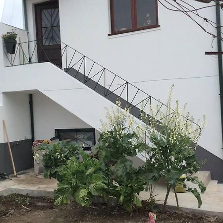 Casa Isabel 2 Bedroom Apartment Near Porto Fanzeres 외부 사진