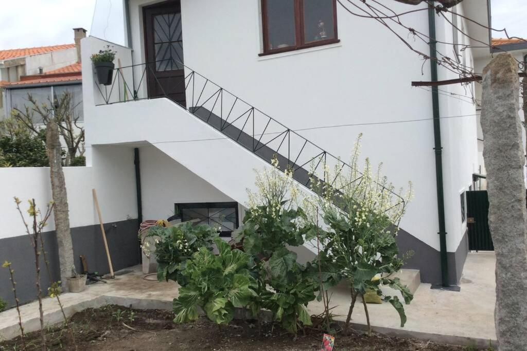 Casa Isabel 2 Bedroom Apartment Near Porto Fanzeres 외부 사진